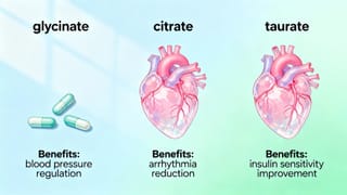 Magnesium for Heart Health: Glycinate, Citrate, or Taurate?